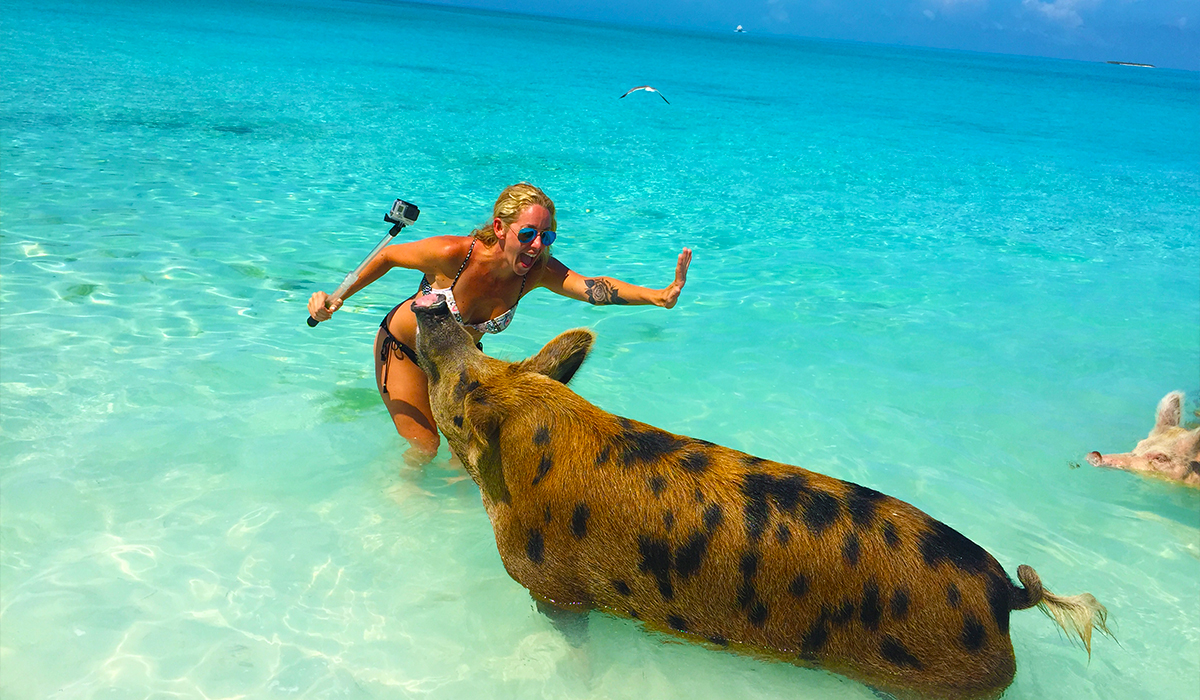 Swimming with the pigs in Exuma Bahamas