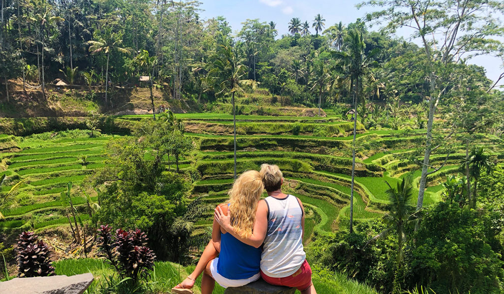 Rice Terraces in Bali